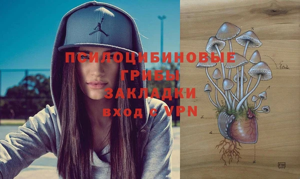 бошки Алексеевка