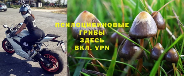 jwh Алзамай