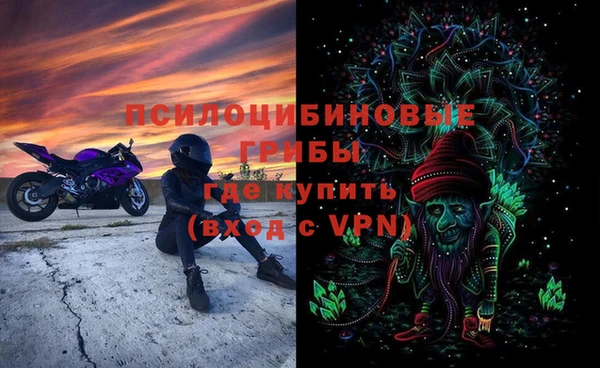 дживик Алексин